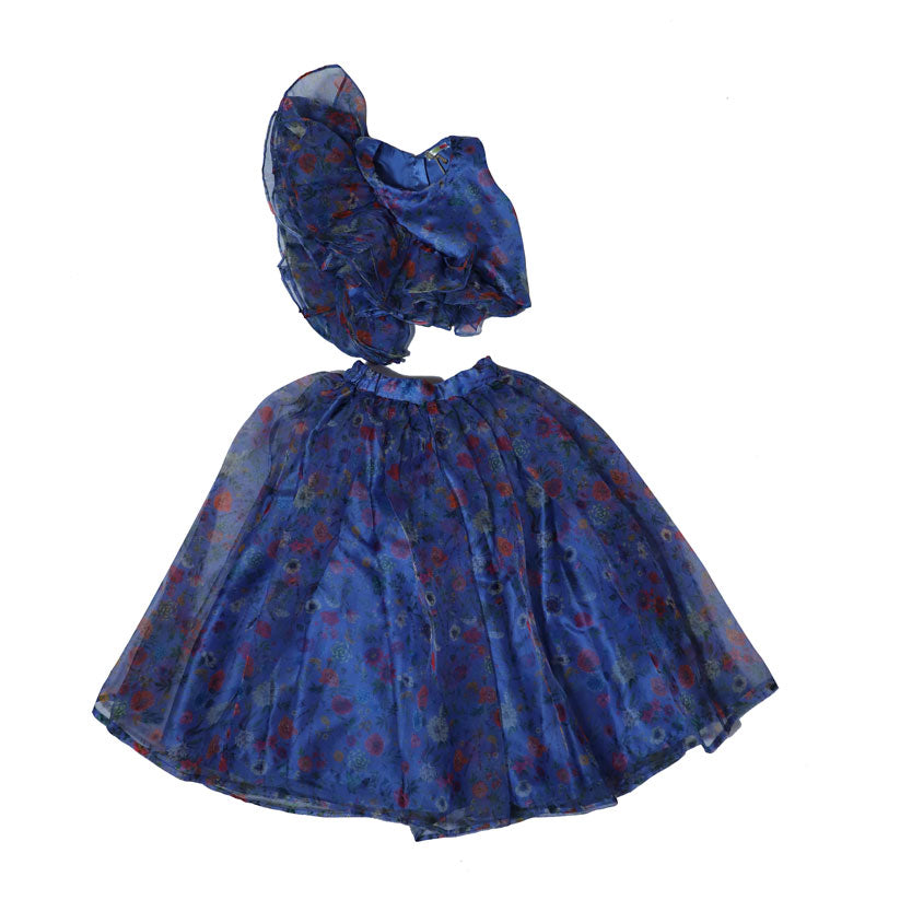 Blue organza skirt and top with frills