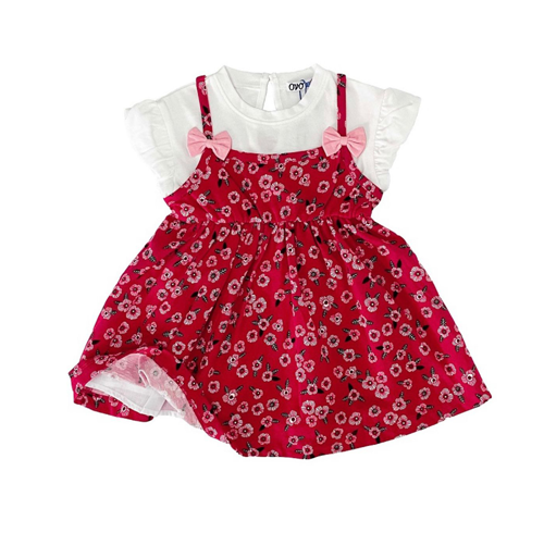 Red Flower Print Frock