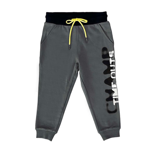 Grey Champ Sweatpants