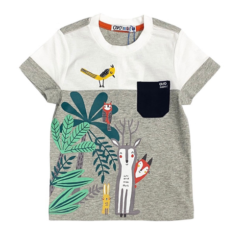 Grey Colour Nature T-Shirt